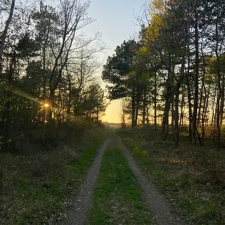 Near Five Minutes From * Vig